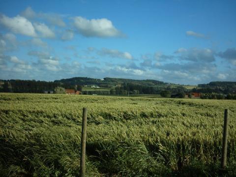 Huis Den Keibilk Heuvelland Eksteriør billede